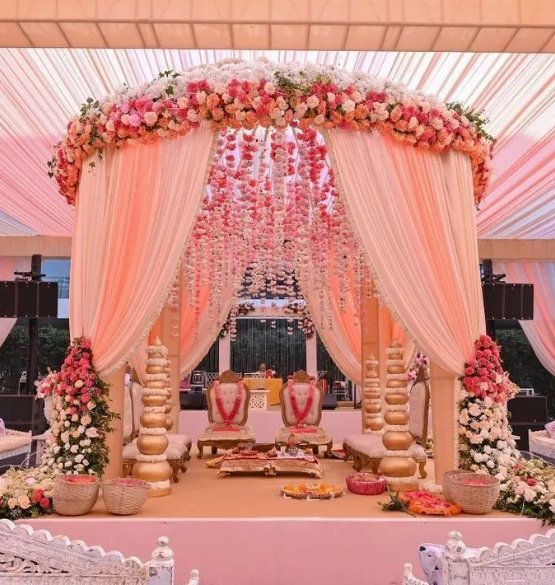 Ayesha Signature Plate